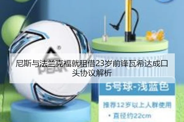 尼斯与法兰克福就租借23岁前锋瓦希达成口头协议解析